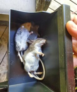 Victor M260 Indoor Multi-Kill Humane Electronic Mouse Trap - No Touch, No See Electronic Instant Kill Mouse Trap – Kills & Holds Up to 10 Mice Per Setting 1 Trap 32 71nR0YalTDL