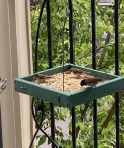 Woodlink Going Green Platform Bird Feeder Model GGPLAT 63 71nRRaiw2vL