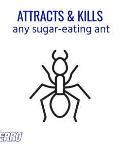 Terro 1806 Outdoor Liquid Ant Baits, 1.0 fl. oz. - 6 count 29 71nUMrZBTeL