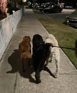 Heavy Duty 3 Dog Leash No Tangle Multiple Dog Leash Triple Dog Leash(30-200 Lbs) Double Dog Leash for 2 Dogs,360°Swivel 3 Way Dog Leash Interchangeable Two Dog Leash with Hand-Protected Handle L / For 20LBs - 150LBs Dogs Black 30 71nVqfMvmEL