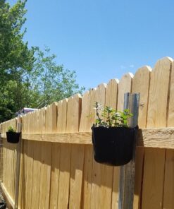 247Garden 5-Pack 1-Gallon Aeration Fabric Pot/Plant Grow Bag w/Handles (260 GSM, Black, 6H x 7D) 1 Gallon 48 71nXWcRnQHL