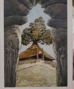 The Wildwood Tarot Deck: Wherein Wisdom Resides (Modern Tarot Library) 85 71nXhBPtbLL