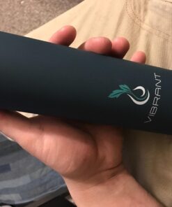 Vibrant All in ONE Travel Mug - Tea Infuser Bottle - Insulated HOT Coffee Thermos - Cold Fruit Infused Water Flask - Food Grade Leak Proof Tumbler Double Wall Stainless Steel 16.9 oz Blue 33 71naPfKan L