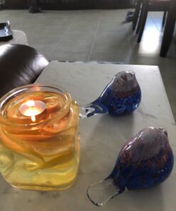 Round Floating Wicks - 50 Count (Approx.), Large Cotton Wicks and Cork Disc Holders for Oil Cups - Bonus Wick Removal Tweezers - by Ner Mitzvah 1 24 71ncVEdB5SL