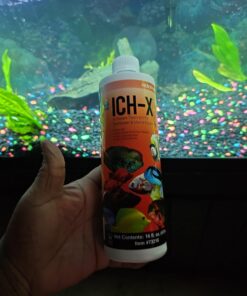 Hikari USA Inc. Ich x - Ich Treatment with More 16oz 16 oz 21 71ndQokNIwL
