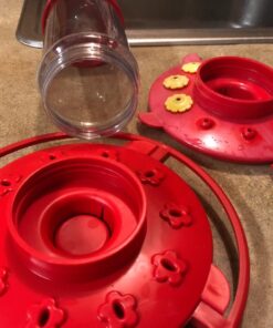 First Nature 3055 32-ounce Hummingbird Feeder 28 71neLwW1pL