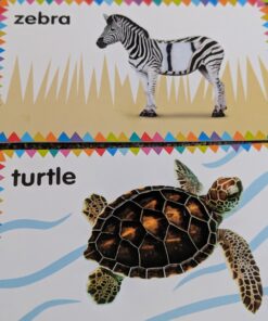 My First Touch and Feel Picture Cards: Animals (My First Board Books) 57 71nnj83PNRL