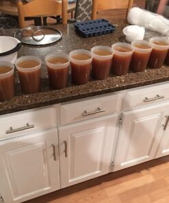 Reditainer Deli Food Storage Containers with Lid, 32-Ounce, 24-Pack 24-Pack, 32 Oz 16 71noTYZx5HL