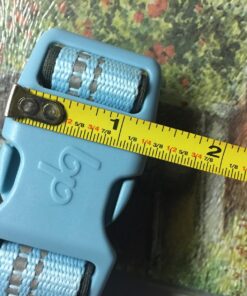 Blueberry Pet Soft & Safe 3M Reflective Neoprene Padded Adjustable Dog Collar - Baby Blue Pastel Color, Medium, Neck 14.5"-20" 52 71np ISyDmL 1