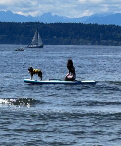 SereneLife Inflatable Stand Up Paddle Board (6 Inches Thick) with Premium SUP Accessories & Carry Bag | Wide Stance, Bottom Fin for Paddling, Surf Control, Non-Slip Deck | Youth & Adult Standing Boat Marine Blue 49 71np1t V5UL