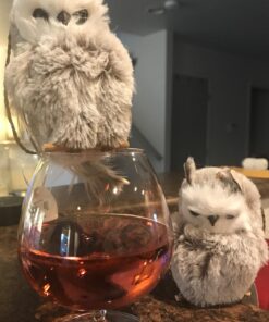 Kurt Adler 1 Set 2 Assorted Brown And White Owl Ornaments,white, grey 37 71nsN0DtfWL