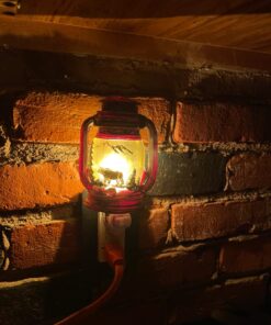 Alternative view of Electric Night Light Lantern with Bear Scene, 6-inch