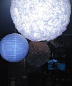 Beistle White Paper Lantern Assortment, Assorted Sizes, 5 Paper Lanterns In Package 1 31 71nvXcyALQL