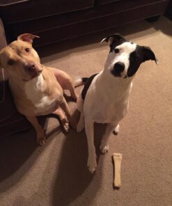 POINTPET Glucosamine for Dogs - Hip & Joint Supplement - Dog Mobility Soft Chews with Chondroitin & MSM - Dog Supplement with Omega 3, Vitamin C & E for Hips and Joints 120cnt 120 Soft Chews 26 71nwOrU2tIL