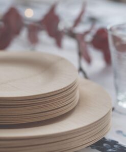 bambu, Veneerware Disposable Bamboo Round Plates, 100% Biodegradable Flat Tableware - 11", Pack of 25 11 Inches, Pack of 25 10 71nxxF1vaeL