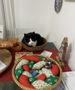 Purina Friskies Gravy Wet Cat Food , Meaty Bits - (24) 5.5 oz. Cans Chicken Dinner In Gravy, Gourmet Grill In Gravy, Beef In Gravy 5.5 Ounce (Pack of 24) 47 71nyGFKOOL