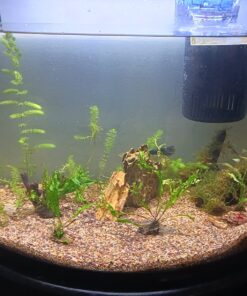 Seachem Flourish Tabs Growth Supplement - Aquatic Plant Stimulant 10 ct 23 71o0Bm8eCL