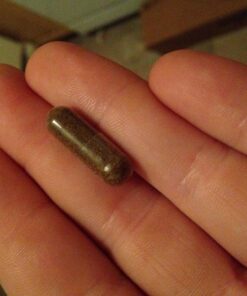 NOW Supplements, Ashwagandha (Withania somnifera) 450 mg (Standardized Extract) for Immune Support ,90 Veg Capsules 29 71o2TuT98tL