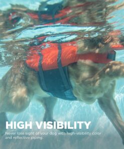 Outward Hound Granby Splash Orange Dog Life Jacket, Small Granby (Flotation) Small (Chest Girth: 16"-20") 33 71o4D9bfFqL 1
