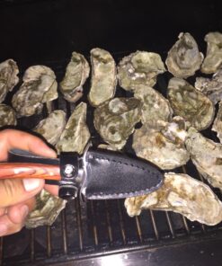 HiCoup Oyster Shucking Knife and Glove Kit - Clam and Oyster Knife Shucker Set with Stainless Steel Seafood Opener Tool, Wood Handle and Gloves 59 71o4OqQEWtL 1