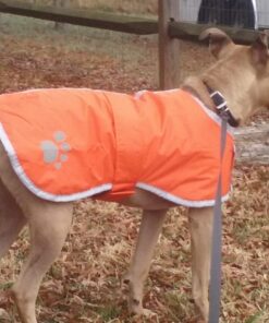 Zack & Zoey Nor'easter Blanket Coat for Dogs, 20" Large, Orange 1 L (Neck: 17", Girth: 28", Back: 20") 29 71o516hkCDL 3