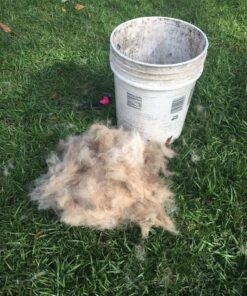 DakPets Pet Deshedding Tool | Professional Cat and Dog Brush for Shedding | Fur Deshedding Brush and Pet Hair Remover for Cats and Dogs | Stainless Steel Cat and Dog Shedding Brush for Pet Grooming Hot Pink 67 71o6HHr6ogL