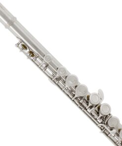 Mendini by Cecilio Premium Grade Closed Hole C Flute with Stand, Book, Deluxe Case and Warranty (Nickel Plated) 13 71o7ttdiU L