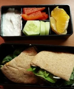 Japanese Traditional Rabbit Blossom Bento Box Set - Square 2 Tier Bento Box, Rice Ball Press, Bento Bag (Blue) 69 71o97u4fqdL