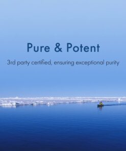 WHC, UnoCardio 1000 Fish Oil, 1300 mg of Pure Triglyceride Fish Oil with Omega-3 (1180 mg), 665 mg EPA and 445 mg DHA and 25 mcg (1000 IU) Vitamin D3 per softgel, Natural Orange, 60 softgels 21 71o9U1eVKvL