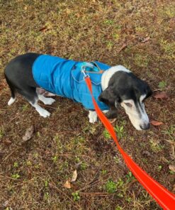 Kurgo Loft Dog Jacket, Reversible Dog Coat, Wear with Harness or Sweater, Water Resistant, Reflective, Winter Coat For Large Dogs (Coastal Blue, L) Coastal Blue/Orange 32 71o9o4NOLNL