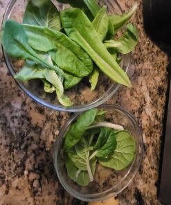 Indoor Garden Hydroponics Growing System, DUESI Upgrade 12 Pods Plant Germination Herb Kit with LED Grow Light, Hydrophonic Planter Grower Harvest Vegetable Lettuce for Hydroponic Gardeners (12 Pods) 45 71oAgAJRkkL