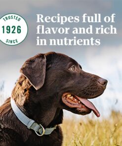 NUTRO NATURAL CHOICE Large Breed Adult Dry Dog Food, Lamb & Brown Rice Recipe Dog Kibble, 30 lb. Bag 30 Pound (Pack of 1) 30 71oElEFJh L 2