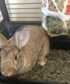 Purina Yesterday's News Non Clumping Paper Cat Litter, Unscented Low Tracking Cat Litter - 30 lb. Bag Original Texture 39 71oEv8Gs4xL