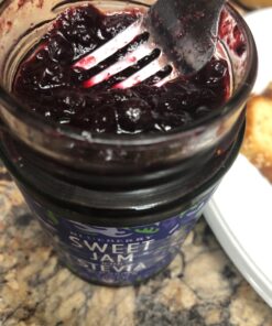 GOOD GOOD No Added Sugar Blueberry Jam - Keto Friendly Jelly - Low Carb, Low-Calorie and Vegan - Diabetic Friendly - 12oz / 330g (Pack of 1) 12 Ounce (Pack of 1) 38 71oHG nh3hL