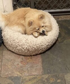 DentaLife Made in USA Facilities Small/Medium Dog Dental Chews, Daily - 40 ct. Pouch 40 Count (Pack of 1) 38 71oJDcNjS5L