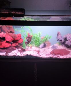 Marineland Penguin Power Filter Cartridge Rite-Size B, 1 Count, Replacement Cartridge For Aquarium Filtration, B - Yellow 1-Count Size B 13 71oJIIZiipL