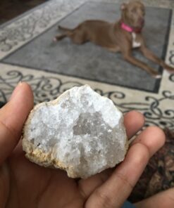 Break Open 2 Jumbo Geodes– Break Your Own Large Geode with Crystals, Earth Science Kit for Kids to Learn Geology, Gifts for Rock Collectors, Cool Rocks for Boys and Girls 50 71oJXb0TqUL