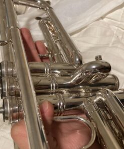 MusicNomad Silver Polish for Silver & Silver-Plated Instruments, 4 oz (MN701) 40 71oK3zO0J1L