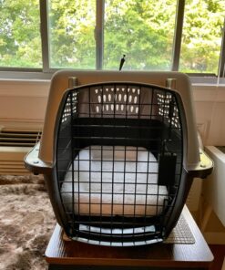 Petmate Two-Door Small Dog Kennel & Cat Kennel (Top Loading or Front Loading Pet Carrier, Made with Recycled Materials, 24 inches in Length) For Pets up to 15 Pounds, Made in USA 24.0"L x 14.5"W x 17.0"H TAN 51 71oKSWUjvkL 1