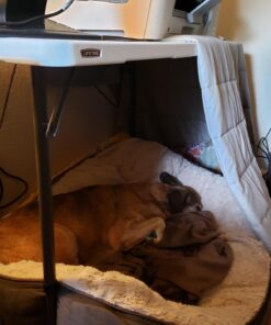 Lifetime Height Adjustable Craft Camping and Utility Folding Table 47 71oLKk7pwwL