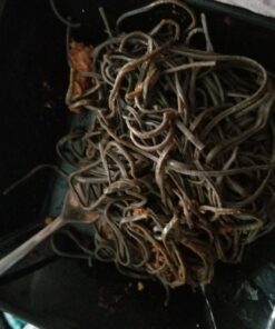 Explore Cuisine Organic Black Bean Spaghetti, 8 Oz 8 Ounce (Pack of 1) 11 71oLRLdXpsL