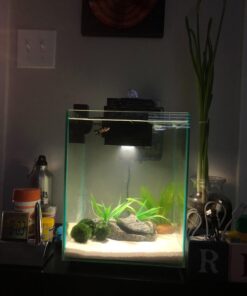 Fluval Chi II Series Aquarium Set, 5-Gallon - Aquarium Tank with Ambient LED Lighting, Flowing Water, and Elegant Design, White 5 gal 64 71oMgiHmNlL