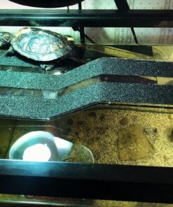 OASIS #64226 Turtle Ramp - Large 16-Inch by 11-Inch by 4-1/2-Inch, Black 33 71oOYZdxHTL