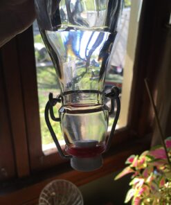 Bormioli Rocco Glass 8.5 Ounce Swing Top Bottle, Set of 4 4 Count (Pack of 1) 17 71oQ6yvvhbL