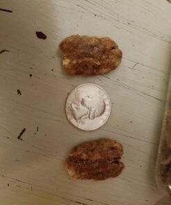 Fisher Snack Glazed Pecans, 24 Ounces, Made with Whole Mammoth Pecans 35 71oU9z6P5tL