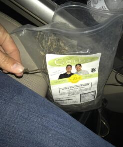 Lightly Sea Salted Sunflower Seed in Shell by Gerbs - 2 LBS - Top 11 Food Allergen Free & Non GMO - Premium Dry Roasted Seeds – COG USA Light Sea Salt 2 Pound (Pack of 1) 29 71oUkaXCu1L