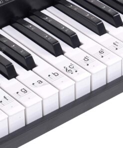 Hamzer 61-Key Electronic Piano Electric Organ Music Keyboard with Stand, Microphone, & Sticker Sheet - Black 23 71oVf7FiRUL 1
