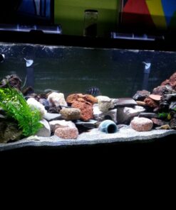 SunSun Sun CBR Canister Filter Media Set 9 71oVrpQ0AcL