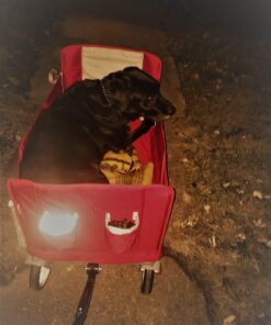 Radio Flyer 3-in-1 EZ Folding Wagon Ride On For Kids, Garden, & Cargo, Red Collapsible Wagon Base 67 71oWLdz RvL