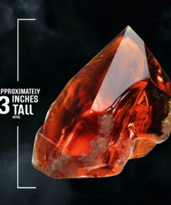 The Noble Collection Harry Potter - Sorcerer's Stone 12 71oZCpy3o4L